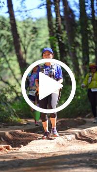 BIB:  <button type="button" onclick="openModal(26787527)" class="btn btn-primary btn-sm float-right" data-toggle="modal" data-target=".modal-high-quality">
                <i class="fa fa-download"></i> Download
                </button>